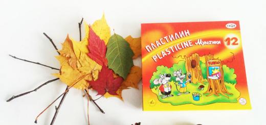 Поделки из каштанов на тему Осень, сделанные своими руками детьми из детского сада и школы (мастер-классы)